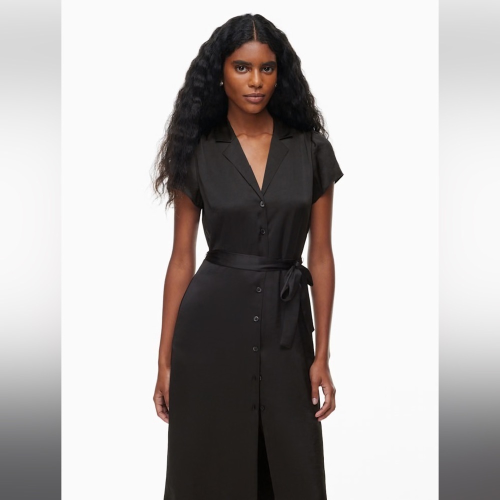 NEW Aritzia Wilfred Shirt Satin Button-up Shirt Dress - Picture 4 of 13